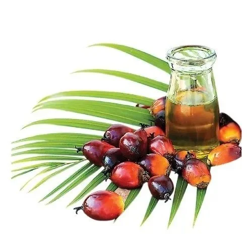 RBD Palm Oil